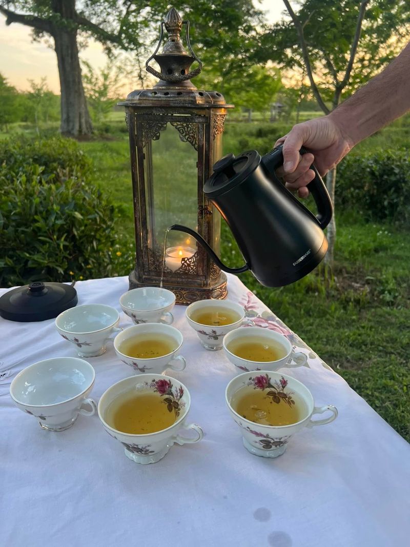 The Great Mississippi Tea Company 