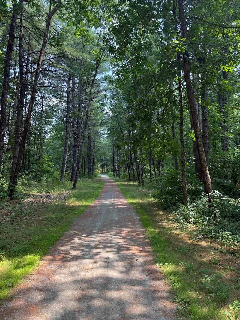 Squannacook River Rail Trail, Townsend And Groton