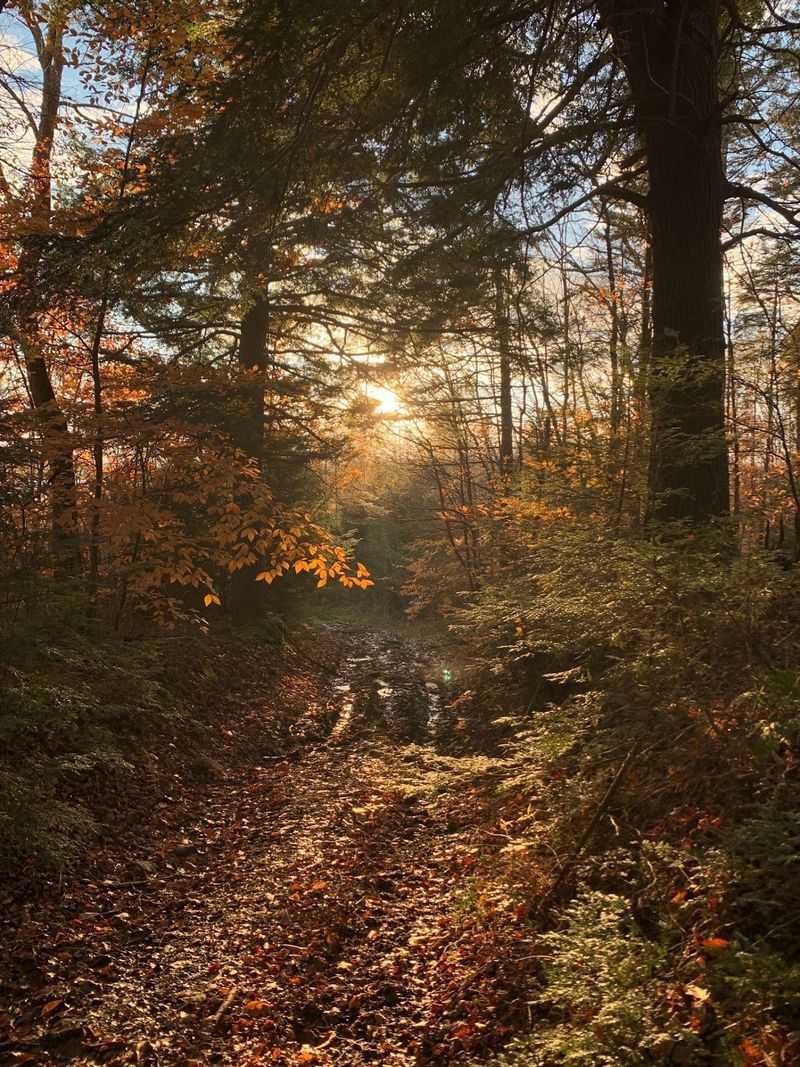 Nearly 100 Miles Of Trails To Choose From