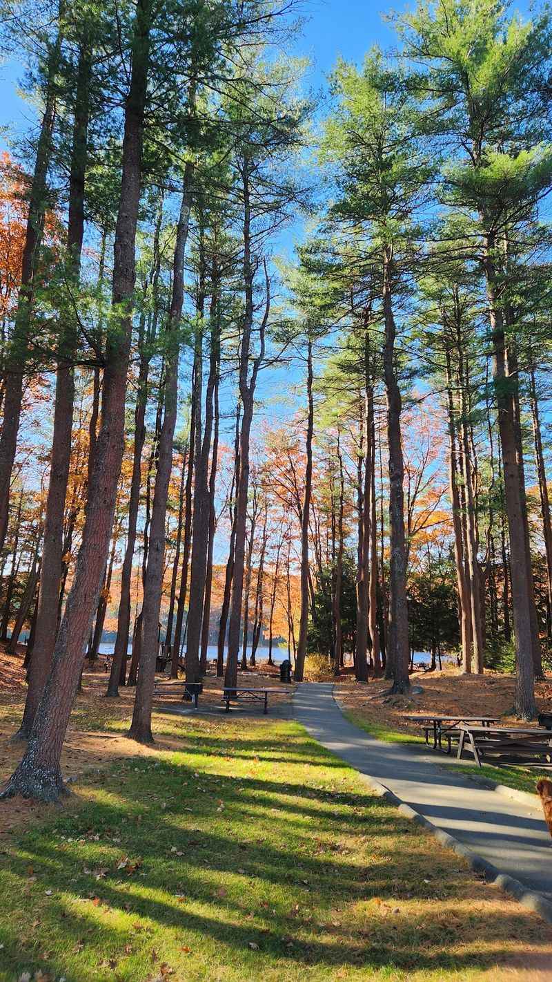 Dunn State Park, Gardner