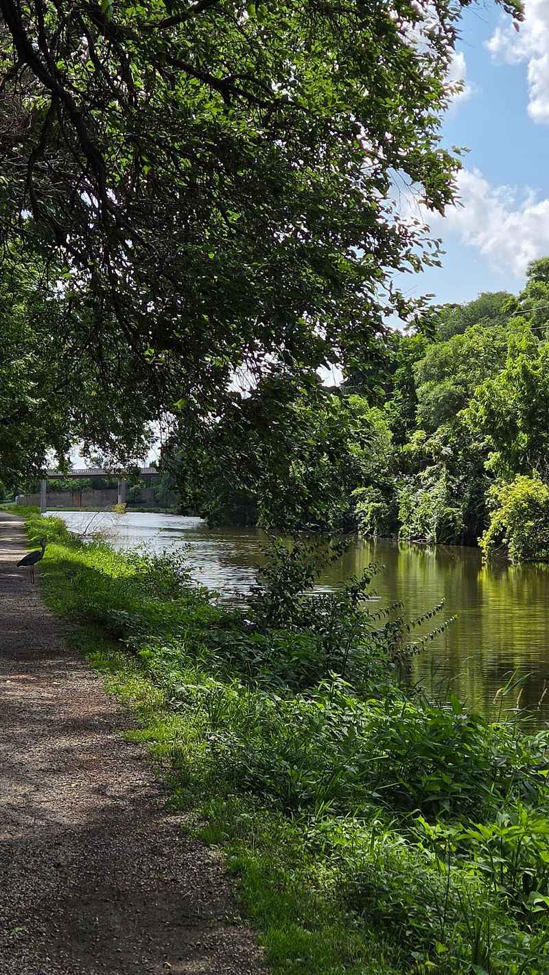 Canal Trails And The Illinois River Valley