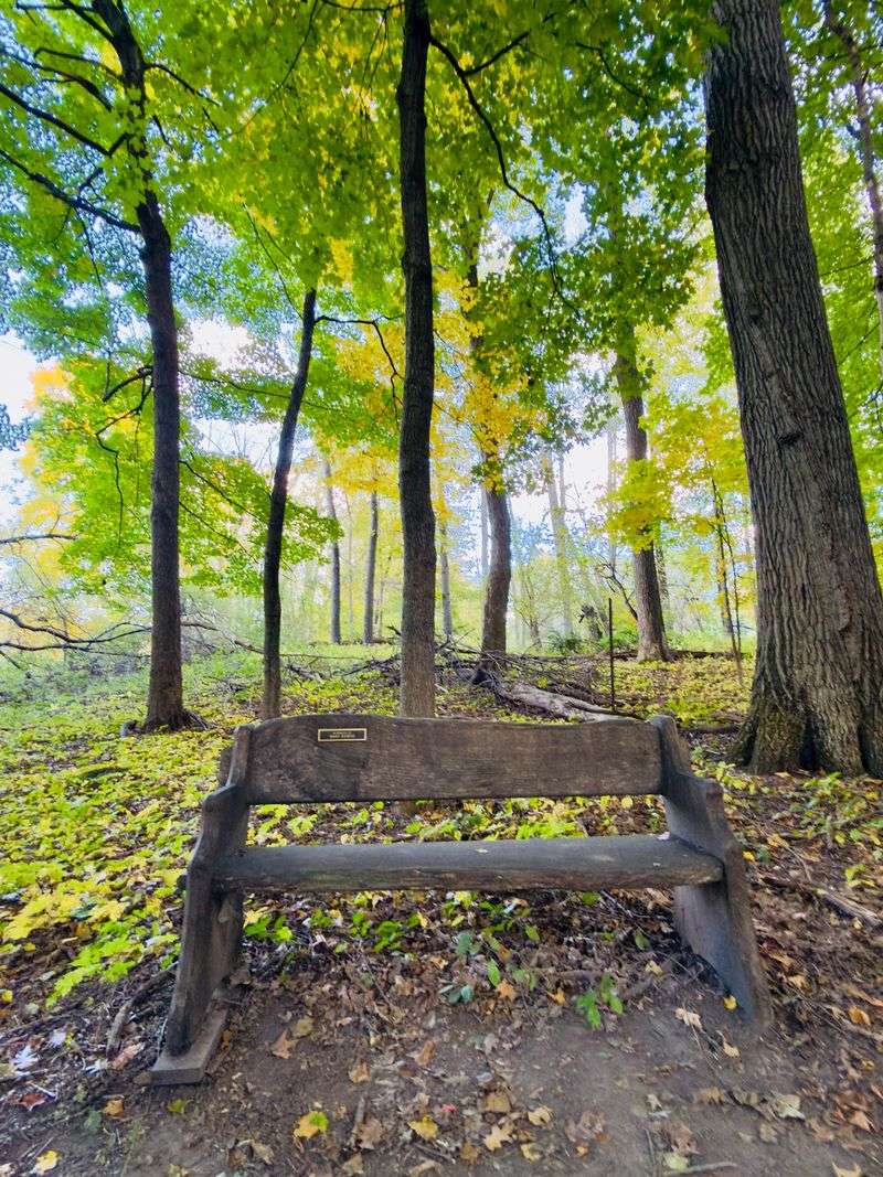 A Mix Of Trails For Short Walks And Bigger Challenges