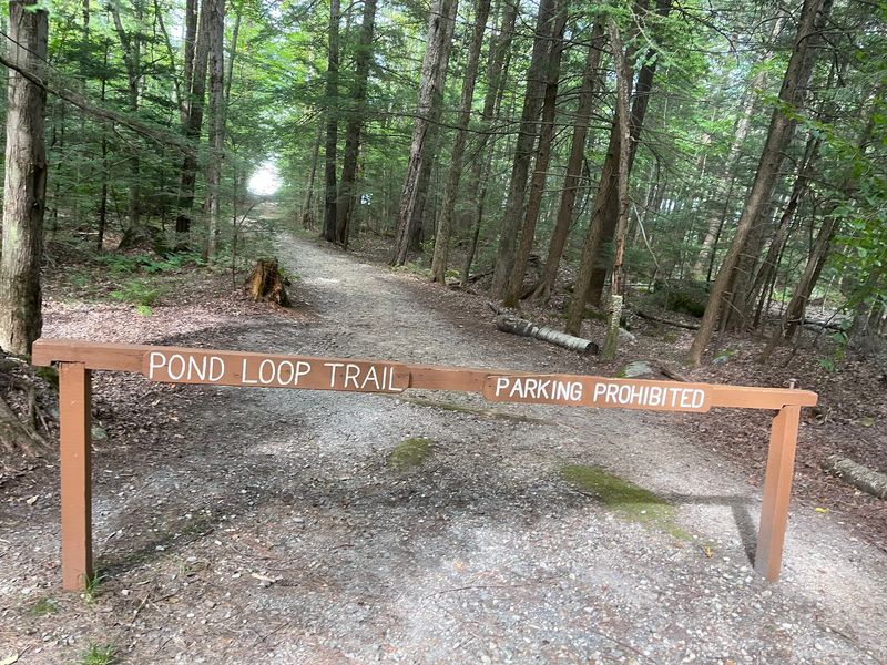 Lacing Up For The Pond Loop Trail