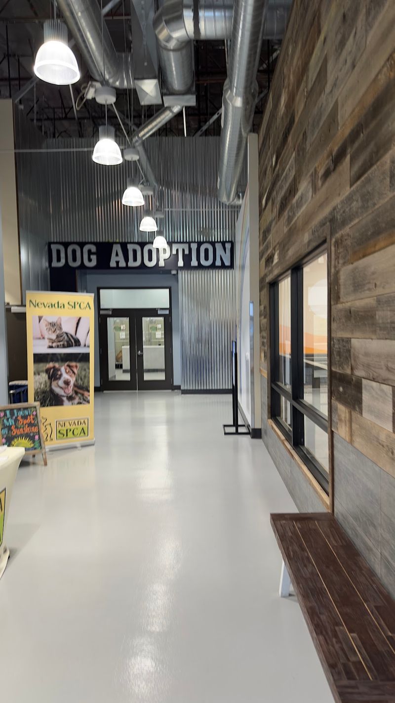 An Adoption Process That Moves Quickly