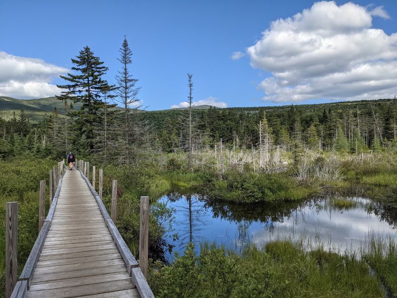 Trails For Every Mood