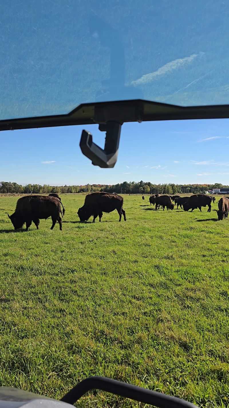 A Farm Tour That Works For The Whole Family