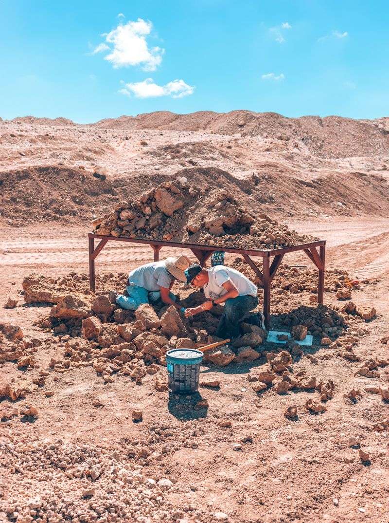 Reserving Your Bucket Of Fresh Ore Ahead Of Time