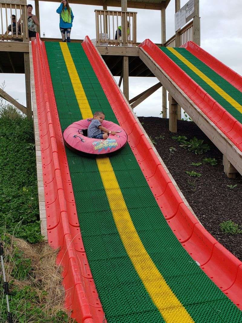 Slides, Bounce Pads, And A Tractor Train For The Kids