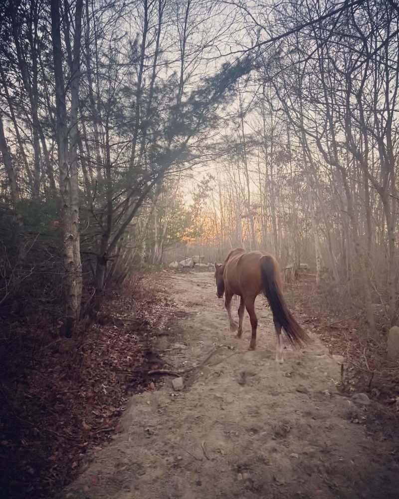 Finding The Sanctuary Down Old Cranston Road