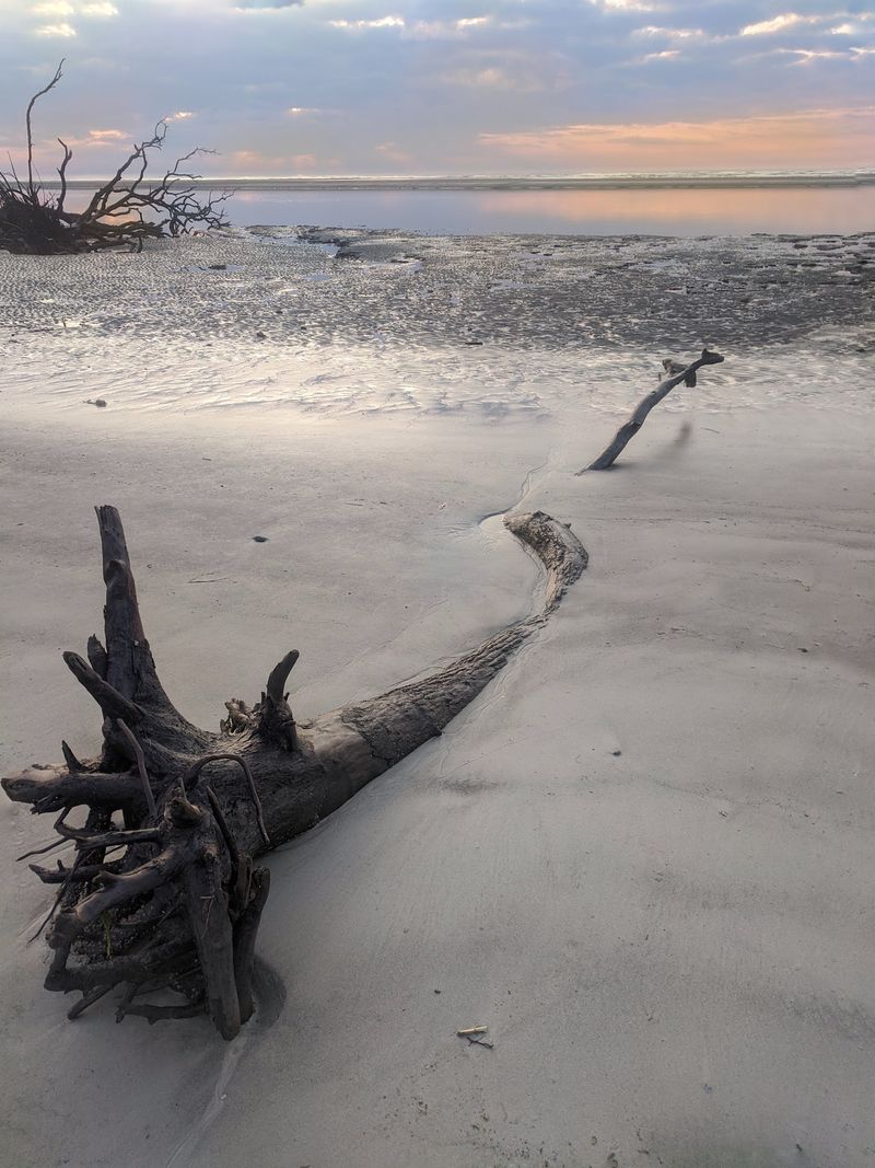 Little Tybee Island
