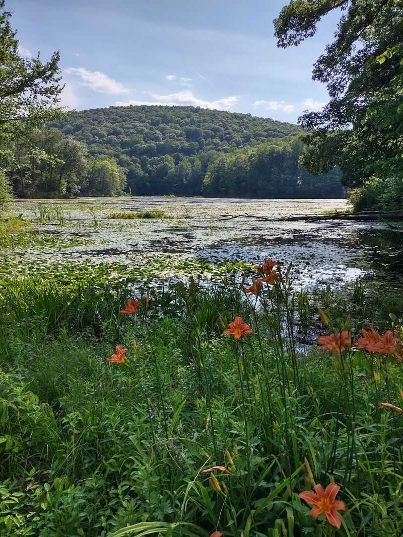 Warren County: River Country With Woodland Company