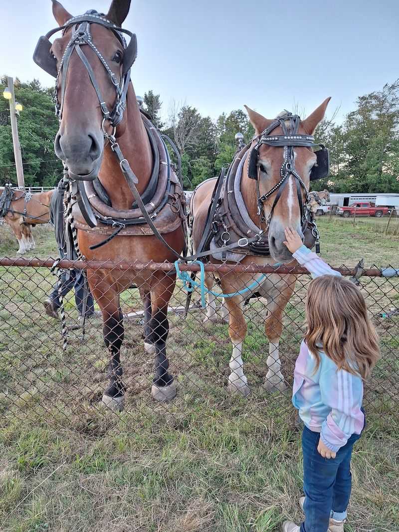 Art, Creativity, And Community