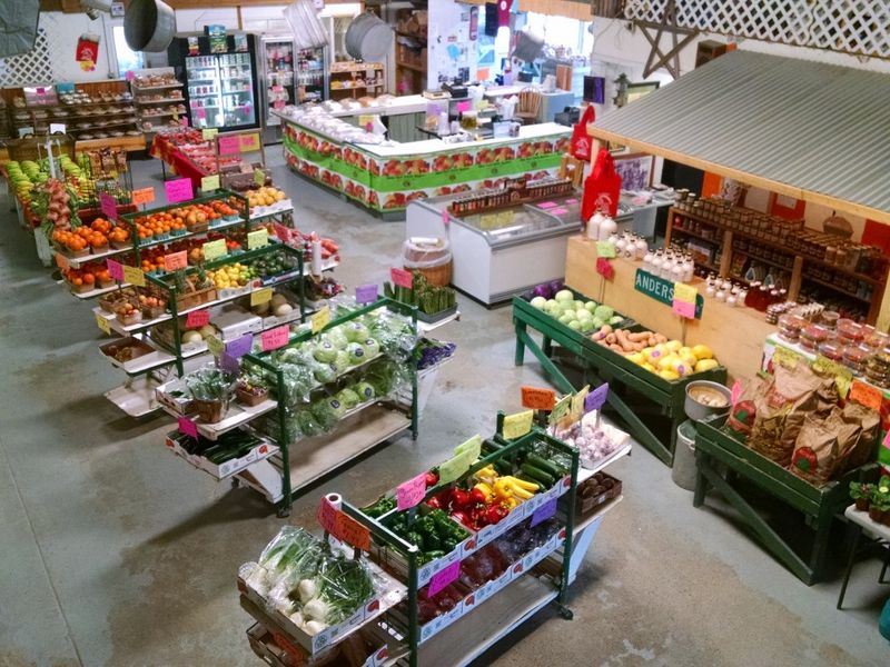 Anderson's Farm Market - Homer