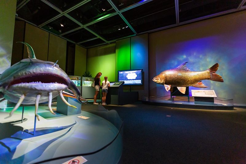 The Aquarium Network That Stops You Cold