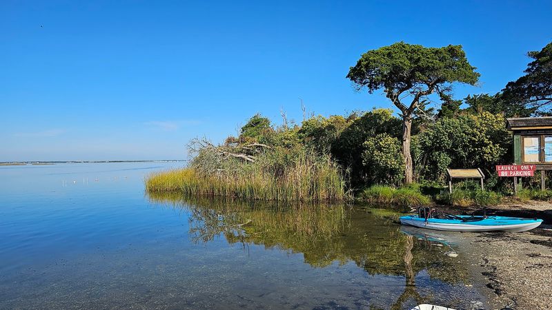 Ocean County: Salt Air And Sneaky Deer Ticks