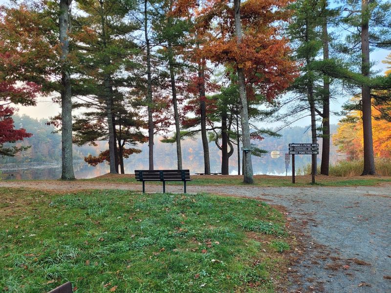 Massasoit State Park, East Taunton