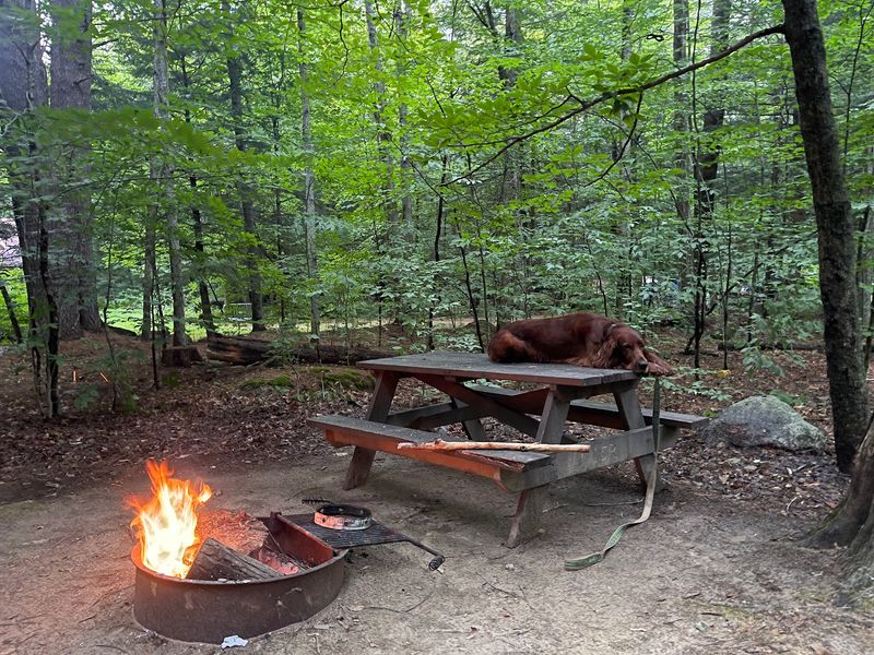 Picnic Tables And Grills Give You Another Reason To Stay Longer