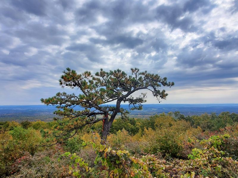 Sussex County: Big Views From The Top Of The State
