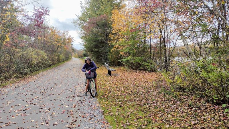 Ashuwillticook Rail Trail, Cheshire And Adams
