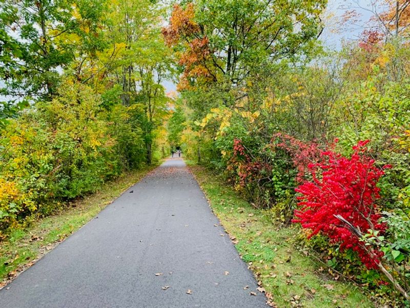 North County Trailway - Chappaqua And New Castle