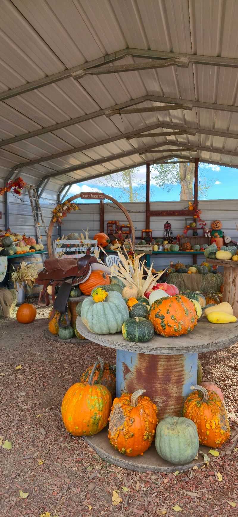 Harvest Festival Opens The Season