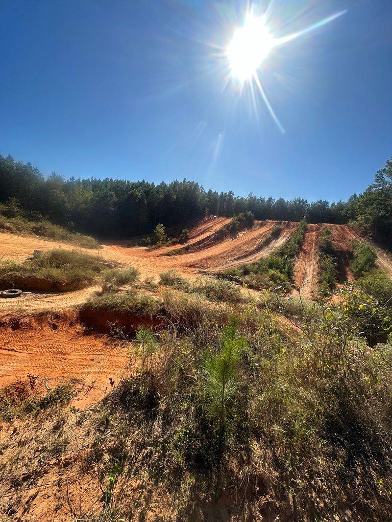 Hill Climbs With Real Bite