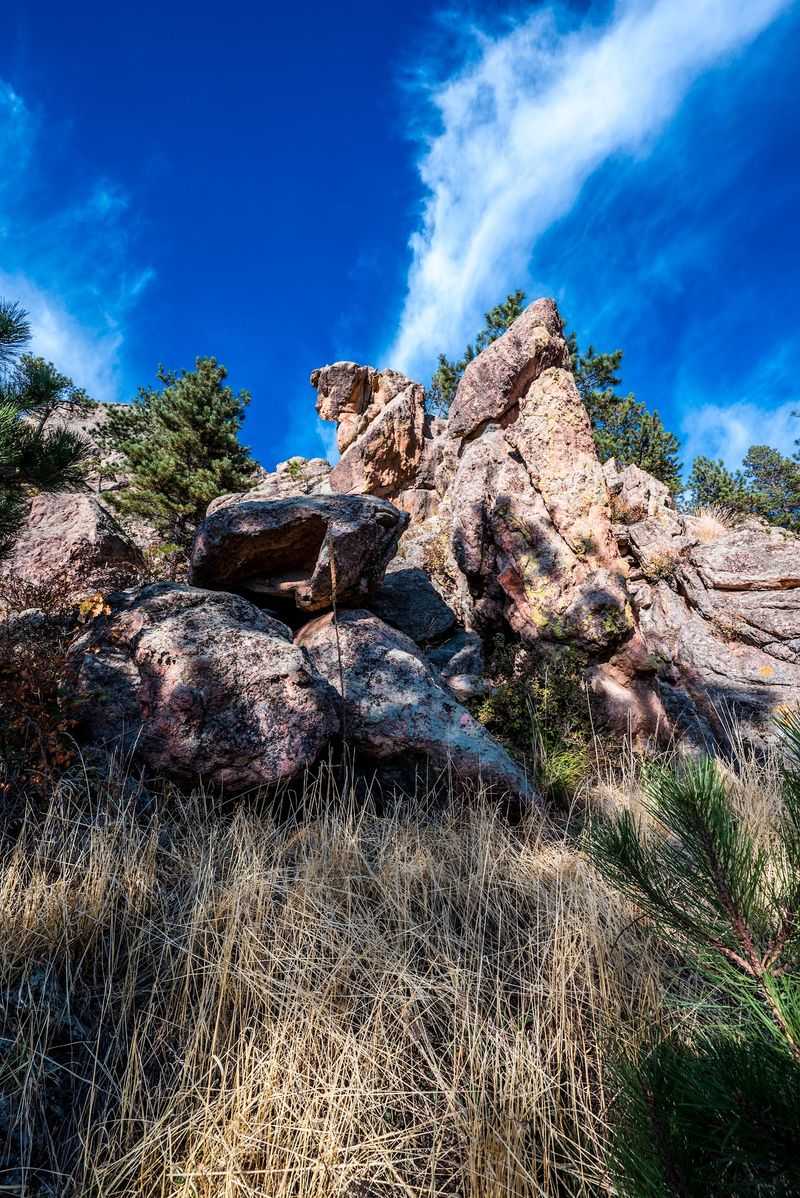 Timber Trail, Lory State Park, Bellvue, Larimer County, Colorado