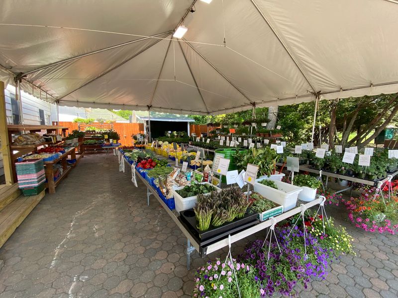 Produce, Flowers, And Farm Stand Charm