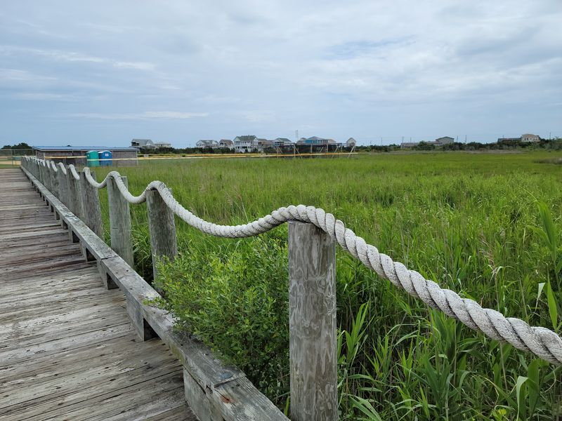 Trails Through Marsh And Maritime Forest