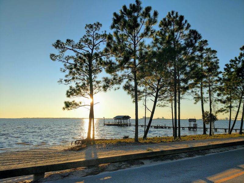 Weeks Bayou Nature Trail - Ocean Springs, MS