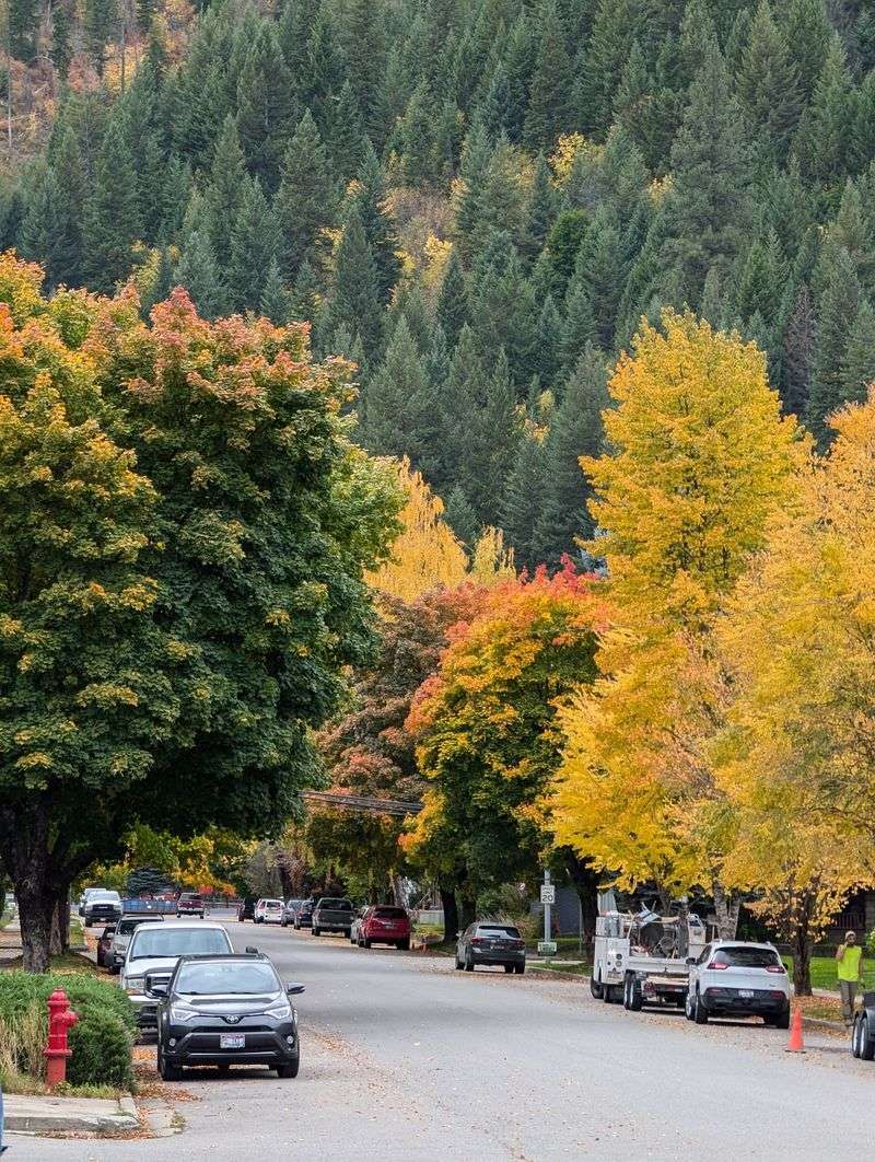 Mountain Views That Inspire