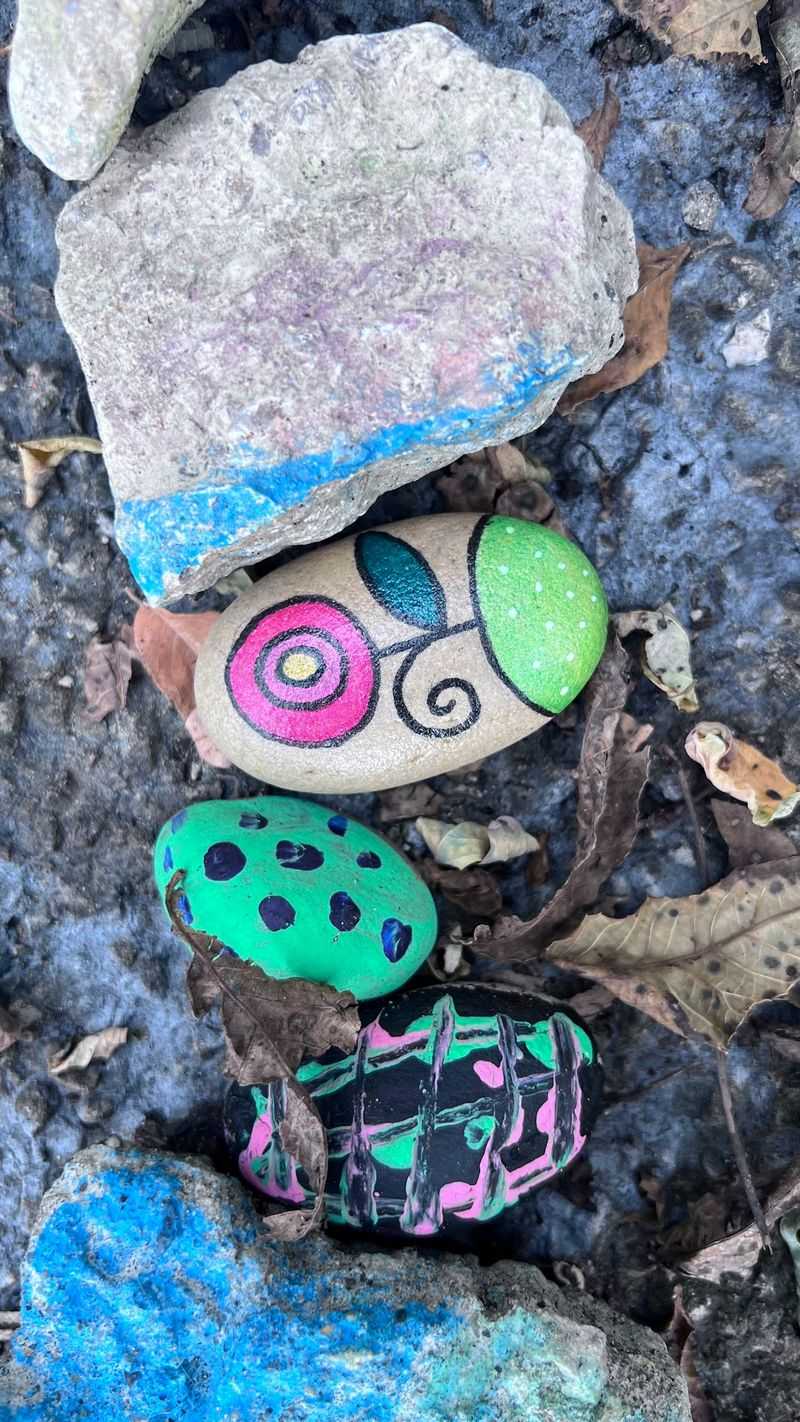 Rock Snake Trail Feature Worth Seeking Out