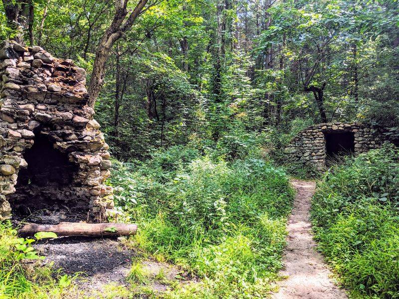 Pinckney Recreation Area