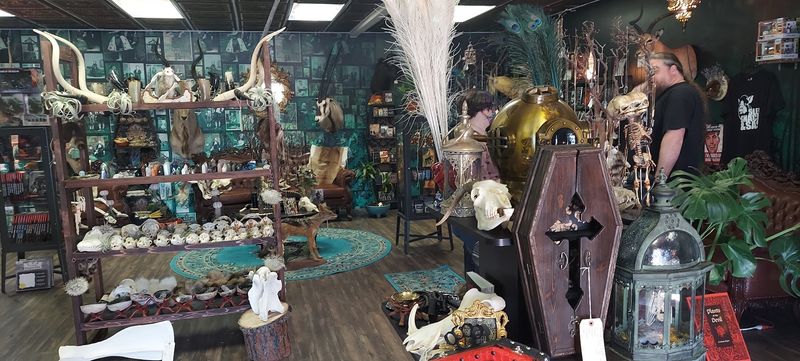 Why This Unusual Shop Is Worth The Stop