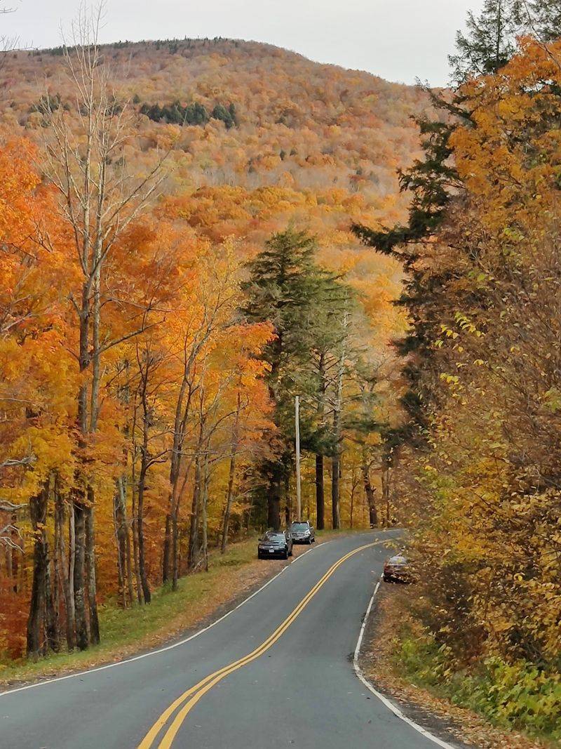 Route 32, Catskill