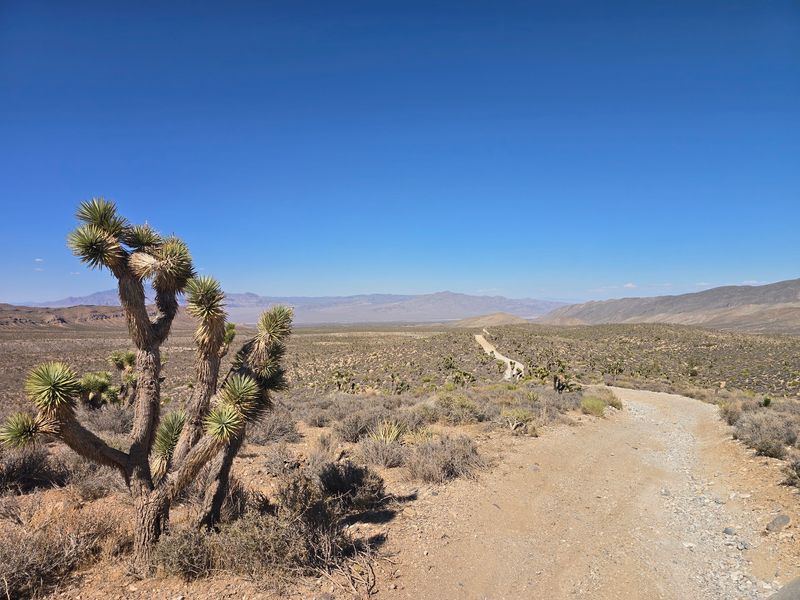 Rugged Ground Around Harris Springs