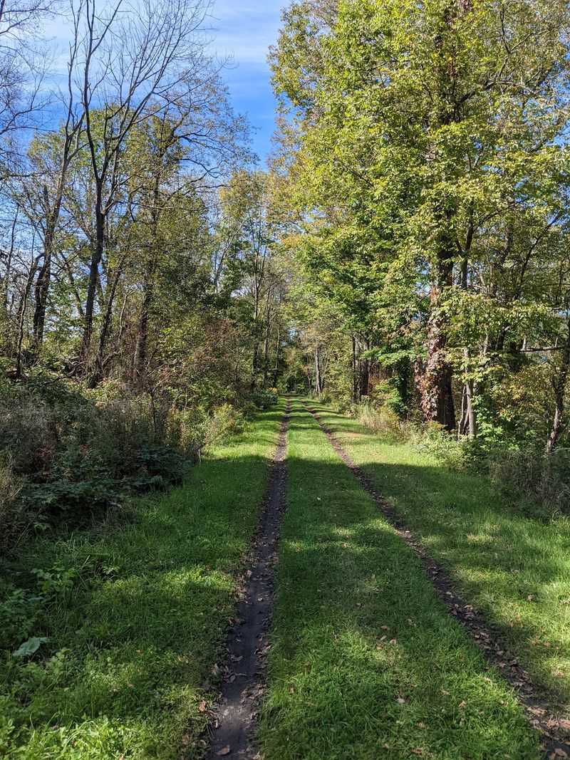 Catskill 3500 Club Peak Trails - Catskills