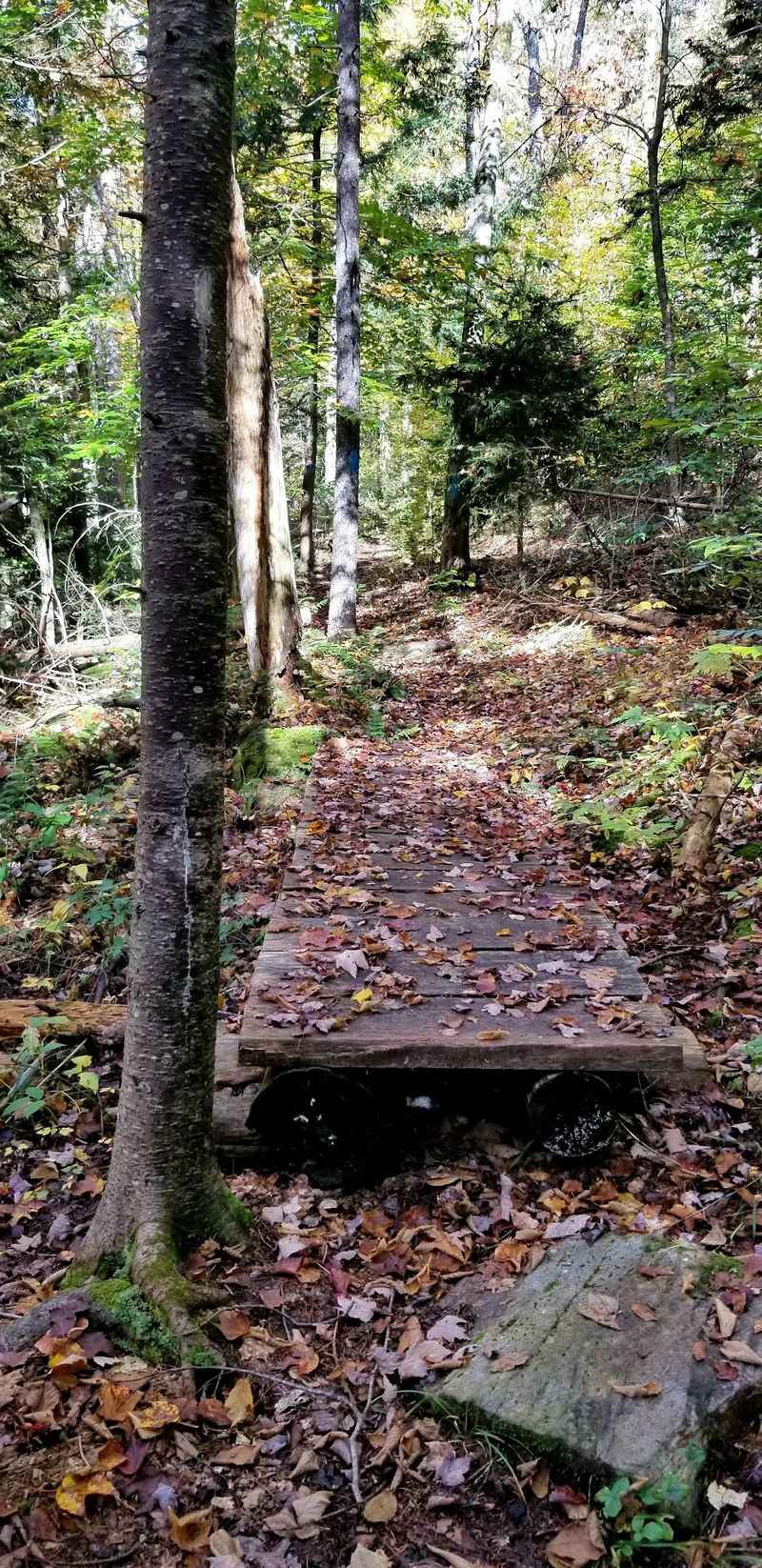 A Stretch Of The Appalachian Trail Runs Right Through