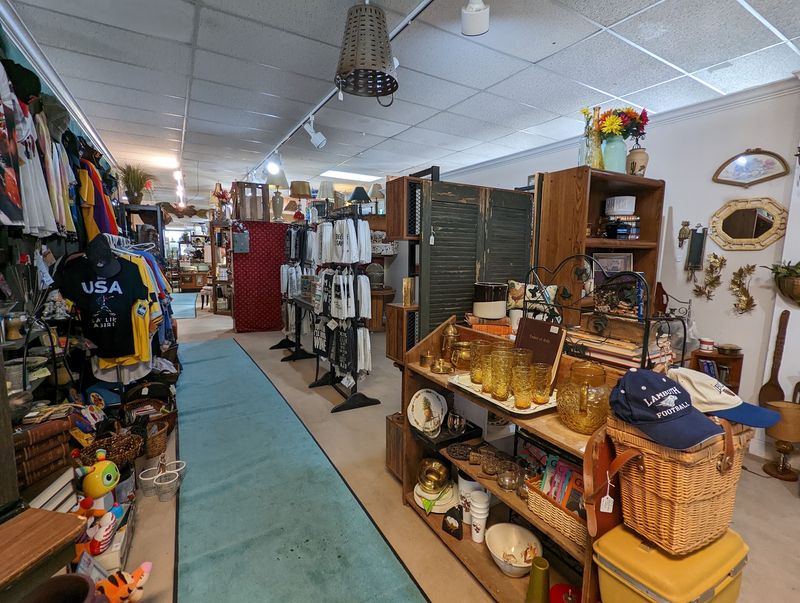 Almost 100 Vendors Under A Single Roof