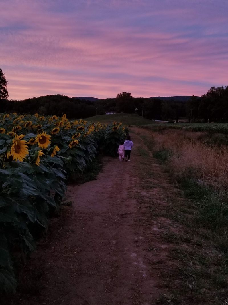 Late Summer Into Fall Is The Sweet Spot