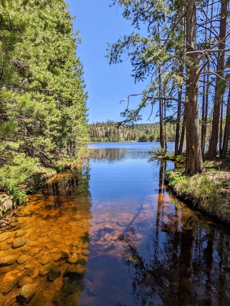 A Small Lake With Big Mountain Company