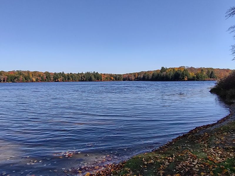 Conneaut Lake Must Balance Growing Popularity With Its Small Town Character