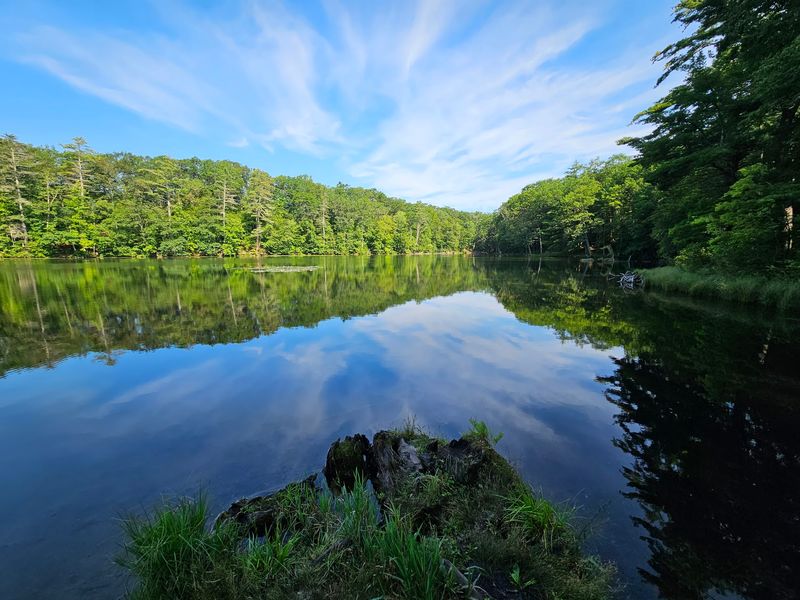 Chenango Valley State Park
