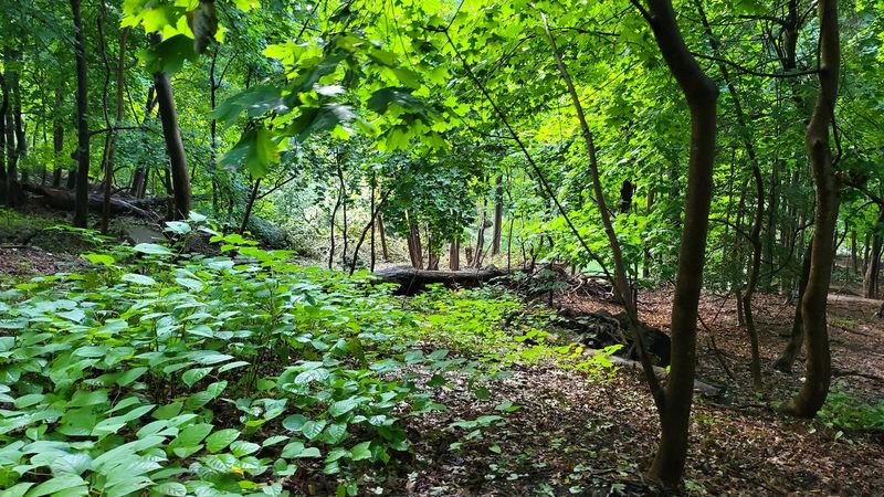 Trails, Birds, and a River Worth Exploring