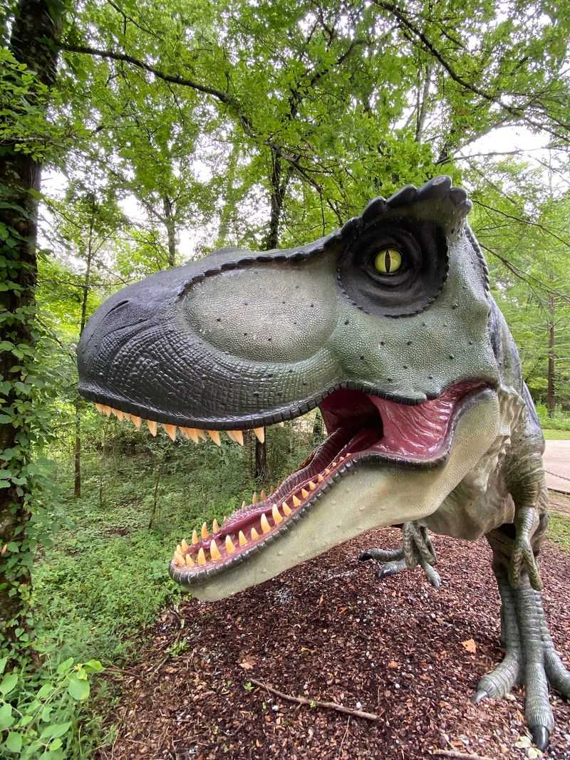Dinosaurs, Fossils, And Prehistoric Thrills