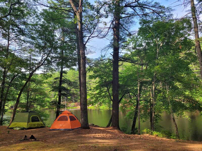 Harold Parker State Forest: The Drive Is Longer, The Reward Is Bigger