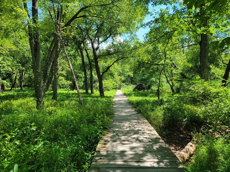 Middlesex County: A Crossroads With Two Tick Species