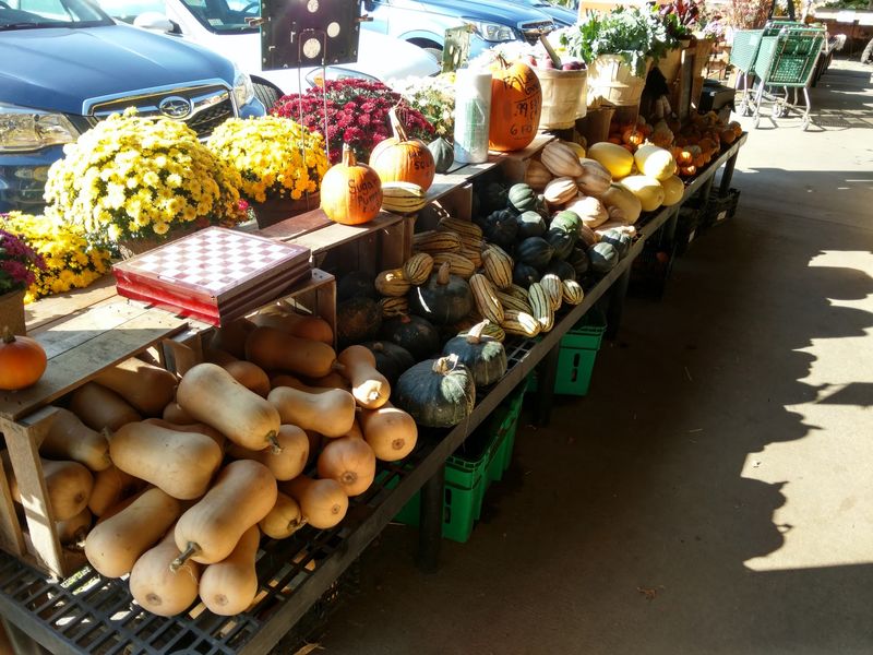 Farm Fresh Flavors Await You