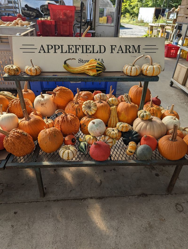 Applefield Farm Stand, Stow