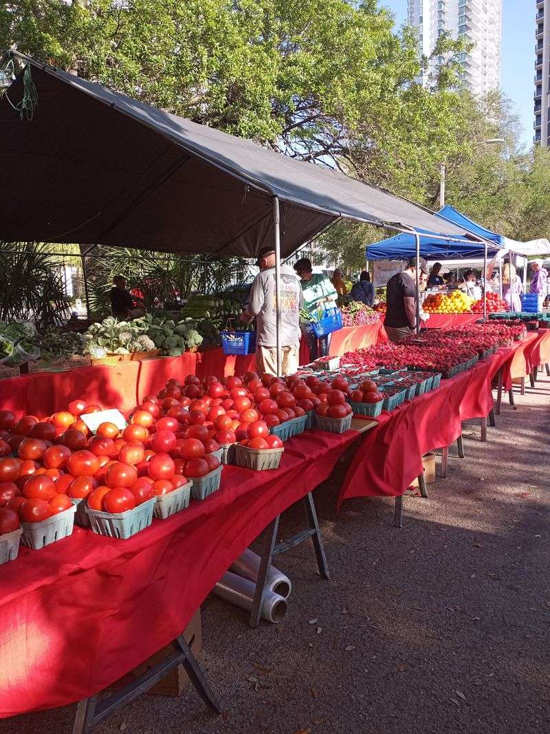 Fresh Produce Straight From Florida Farms